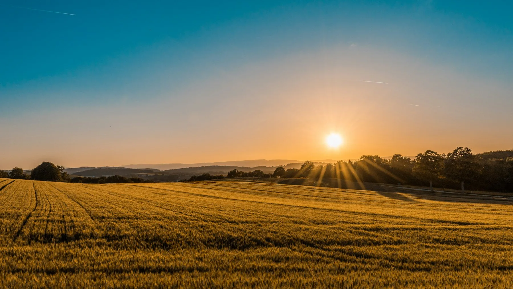 Golden hour view of Crestview Meadows HOA greenway trail